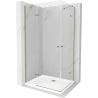 Mexen Roma Duo pivot shower cabin 100 x 90 cm, transparent, gold + Flat shower tray - 854-100-090-50-02-4010G