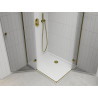 Mexen Roma Duo pivot shower cabin 100 x 90 cm, transparent, gold + Flat shower tray - 854-100-090-50-02-4010G