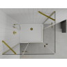 Mexen Roma Duo pivot shower cabin 100 x 90 cm, transparent, gold + Flat shower tray - 854-100-090-50-02-4010G