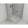 Mexen Roma Duo pivot shower cabin 100 x 90 cm, transparent, gold + Flat shower tray - 854-100-090-50-02-4010G