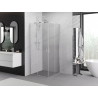 Mexen Exo-S Duo τετράγωνη συρόμενη καμπίνα ντους 85 x 85 cm, διαφανής, χρώμιο