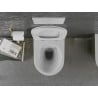 Mexen Lena taza de WC Rimless con asiento de cierre suave slim, duroplast, blanco/dorado patrón de escamas - 30224008