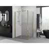 Mexen Exo-B Duo draaideur douchecabine 80 x 110 cm, transparant, goud - 814-080-110-50-00