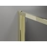 Mexen Exo-F cabina doccia pieghevole 110 x 100 cm, trasparente, oro - 816-110-100-50-00