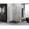 Mexen Exo-F cabina doccia pieghevole 110 x 100 cm, trasparente, oro - 816-110-100-50-00