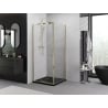 Mexen Exo hinged shower enclosure 120 x 120 cm, transparent, gold - 819-120-120-50-00