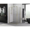 Mexen Exo-S kabina prysznicowa rozsuwana 110 x 120 cm, transparent, złota - 8151-110-120-50-00