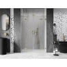 Mexen Lunar Duo porte de douche battantes 160 cm, transparent, doré brossé - 834D-160-000-55-00