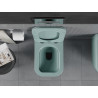 Mexen Teo wc-pot Rimless met slanke, soft-close duroplast zitting, lichtgroen mat - 30854048