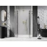 Mexen Lunar L Duo drzwi prysznicowe uchylne 160 cm, transparent, złote - 834DL-160-000-50-00