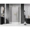 Mexen Lunar L Duo porte de douche pivotante 160 cm, transparent, or brossé - 834DL-160-000-55-00