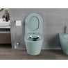 Mexen Rico WC-Becken Rimless mit langsam schließendem Slim-Sitz, Duroplast, hellgrün matt - 30724048