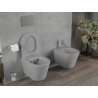 Mexen Rico Cuvette WC Rimless avec abattant à descente ralentie slim, duroplast, gris clair mat - 30724061