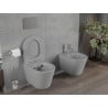 Mexen Rico cuvette WC sans rebord avec abattant slim à descente progressive, duroplast, gris clair mat - 30724061