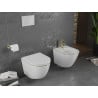 Mexen Lena cuvette WC sans rebord avec abattant à descente lente slim, duroplast, blanc/ligne dorée - 30224005