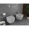 Mexen Lena rimloze wc-pot met slim, zacht sluitend duroplast toiletzitting, lichtgrijs mat - 30224061