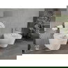 Mexen Rico wc-kom Rimless met slanke, zacht sluitende zitting van duroplast, wit glans - 30720500