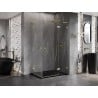 Mexen Lunar L Duo parema lahtikäiv dušinurk 110 x 70 cm, läbipaistev, harjatud kuldne - 834L-110P-070L-55-00