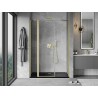 Mexen Mist dušiuks uksed, hingedega, 130 cm, läbipaistev, kuldne harjatud - 8A4-130-001-55-00