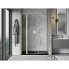 Mexen Mist L hinged shower door 150 cm, transparent, brushed gold - 8A4L-150-001-55-00