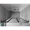 Mexen Mist L left pivot shower door 150 cm, black frame, black - 8A4L-150-001-70-70-L