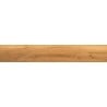 Mexen Future Honey gres szkliwiony rekt. G1, płytka drewnopodobna podłogowo-ścienna 120 x 20 cm, mat - TL602-120-020-03