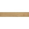 Mexen Gaatha Almond glasiertes Steinzeug rektifiziert G1, holzähnliche Fliese für Boden und Wand 120 x 20 cm, matt