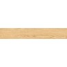 Mexen Gaatha Rialto geglazuurd gres rekt. G1, houtachtige vloer- en wandtegel 120 x 20 cm, mat - TL603-120-020-01