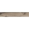 Mexen Indica Black gres szkliwiony rekt. G1, płytka drewnopodobna podłogowo-ścienna 120 x 20 cm, mat - TL604-120-020-01