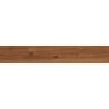 Mexen Meranti Nocciola geglazuurde gerectificeerde gres G1, houtlook vloer- en wandtegel 120 x 20 cm, mat - TL609-120-020-06