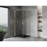 Mexen Mist-B pivot shower enclosure 100 x 100 cm, transparent, gold - 8A2T-100-100-50-00