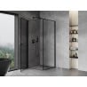 Mexen Mist-B left-hinged shower enclosure 100 x 100 cm, black frame, black - 8A2T-100-100-70-70-L