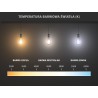 Mexen Vintis Bombilla LED de filamento E27, A60, 12W, Cálida - 2700K, 1125 lm, ámbar - L150-E27-1227-50