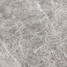 Mexen Lizard Glazed Grey Gres rectified G1, floor-wall tile 60 x 60 cm, gloss - TL109-060-060-02