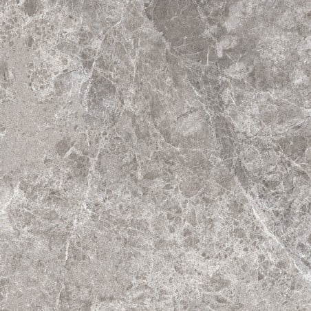 Mexen Lizard Glazed Grey Gres rectified G1, floor-wall tile 60 x 60 cm, gloss - TL109-060-060-02