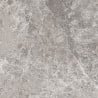 Mexen Lizard Glazed Grey Gres rectified G1, floor-wall tile 60 x 60 cm, gloss - TL109-060-060-02