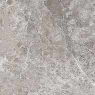 Mexen Lizard Grijs geglazuurd gerectificeerd gres G1, vloer-wandtegel 60 x 60 cm, glans - TL109-060-060-02