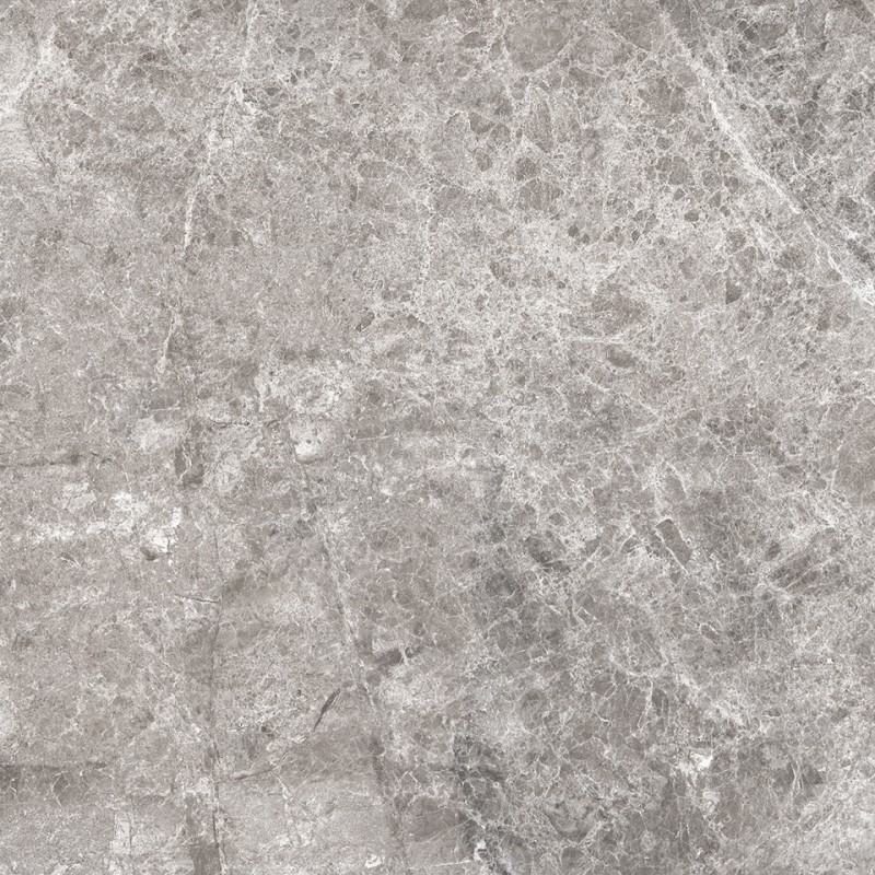 Mexen Lizard Grijs geglazuurd gerectificeerd gres G1, vloer-wandtegel 60 x 60 cm, glans - TL109-060-060-02