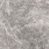 Mexen Lizard Glazed Grey Gres rectified G1, floor-wall tile 60 x 60 cm, gloss - TL109-060-060-02