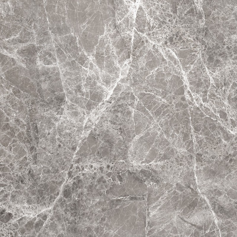 Mexen Lizard Grijs geglazuurd gerectificeerd gres G1, vloer-wandtegel 60 x 60 cm, glans - TL109-060-060-02