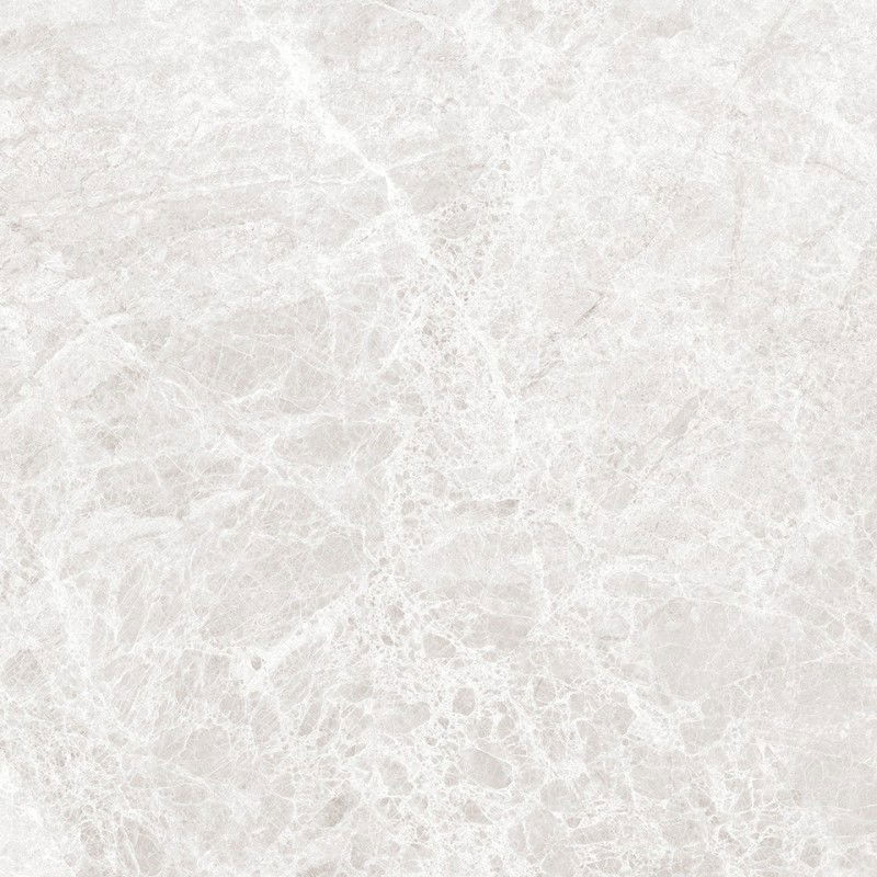 Mexen Lizard Gres esmaltado rectificado plata G1, baldosa de suelo y pared 60 x 60 cm, brillo - TL109-060-060-03