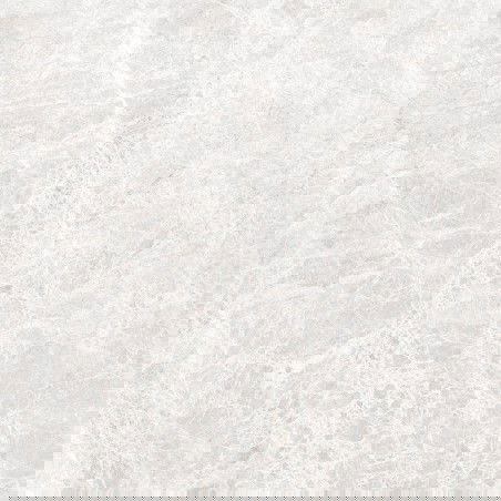 Mexen Lizard Gres argentato smaltato rettificato G1, piastrella pavimento-parete 60 x 60 cm, lucido - TL109-060-060-03