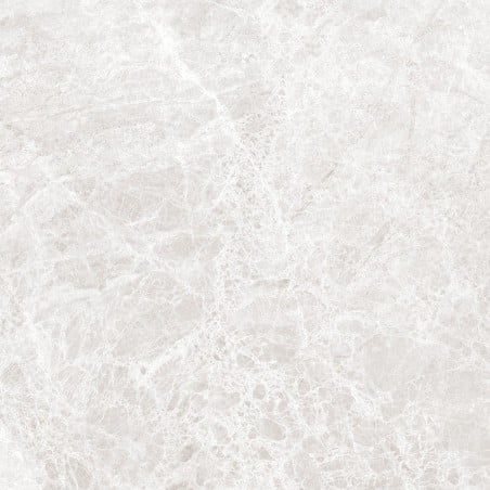 Mexen Lizard Silver Glazed Rectified Floor-Wall Tile G1, 60 x 60 cm, Glossy - TL109-060-060-03