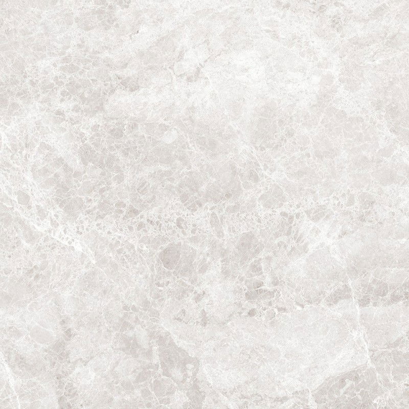 Mexen Lizard Zilver geglazuurde gerectificeerde gres G1, vloer- en wandtegel 60 x 60 cm, glans - TL109-060-060-03