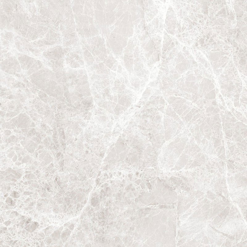 Mexen Lizard Silver Glazed Rectified Floor-Wall Tile G1, 60 x 60 cm, Glossy - TL109-060-060-03