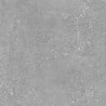 Mexen Inspira Rectified glazed grey gres G1, floor-wall tile 60 x 60 cm, matte - TL303-060-060-02