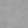 Mexen Inspira Rectified glazed grey gres G1, floor-wall tile 60 x 60 cm, matte - TL303-060-060-02