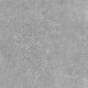Mexen Inspira Rectified glazed grey gres G1, floor-wall tile 60 x 60 cm, matte - TL303-060-060-02
