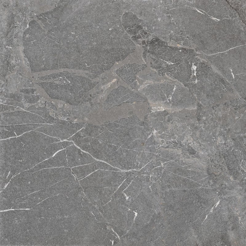 Mexen Terralite Gray Glazed Rectified Porcelain Tile G1, Floor and Wall Tile 60 x 60 cm, Matte - TL306-060-060-05