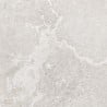 Mexen Blaze Silver glazed rectified gres tile G1, floor-wall tile 60 x 60 cm, carving - TL420-060-060-02